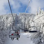 Bukovel Apart 4*