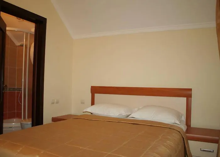 公寓式酒店 布克维vip公寓