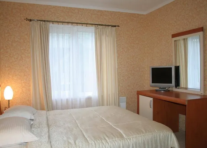 公寓式酒店 布克维vip公寓 布克维